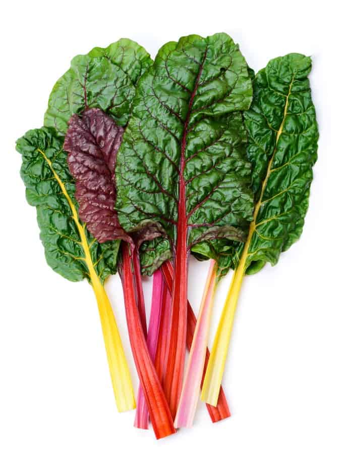 Mangold or Swiss chard 'Rainbow' leaves isolated on white