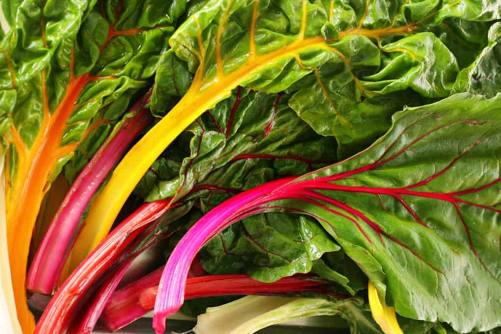 rainbow chard showing the different colors