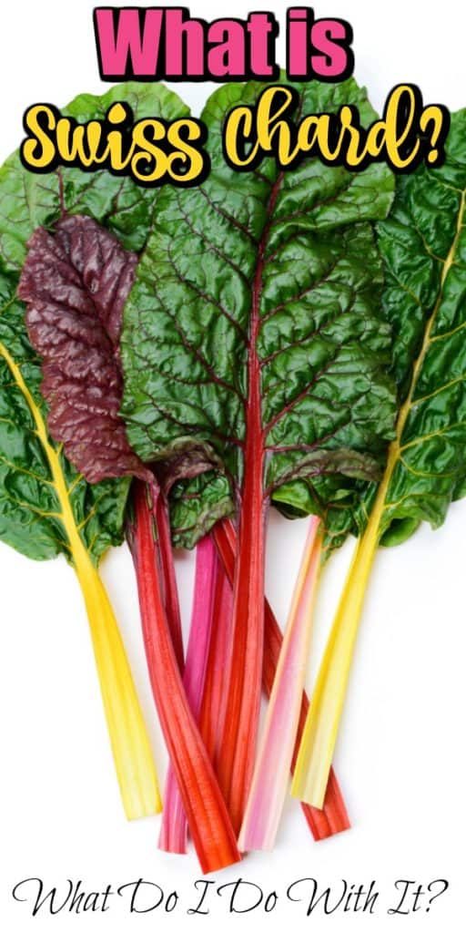 What is Swiss Chard? What Do I Do With It? Pin