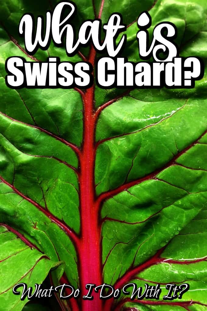 What is Swiss Chard? What Do I Do With It? Pin