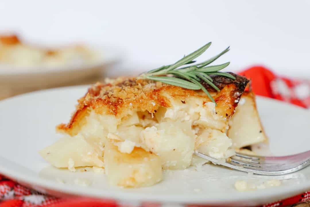 Close up serving of Delmonico potatoes on a white plate with a fork.