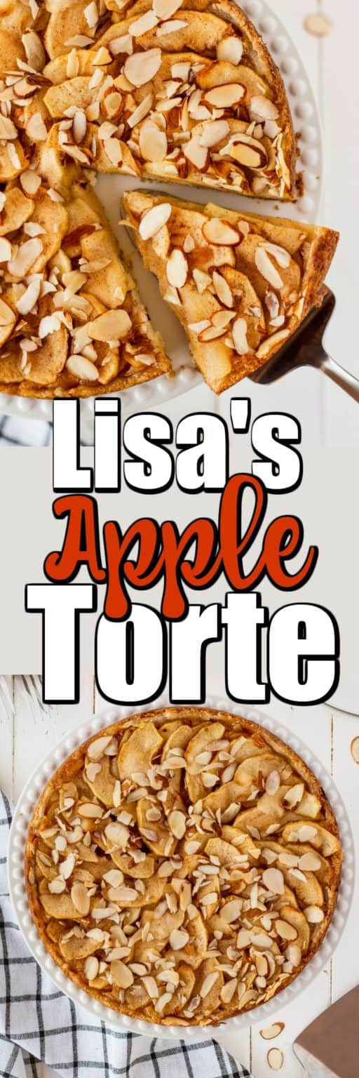 Lisa's Apple Torte - Bavarian Apple Torte - Noshing With The Nolands