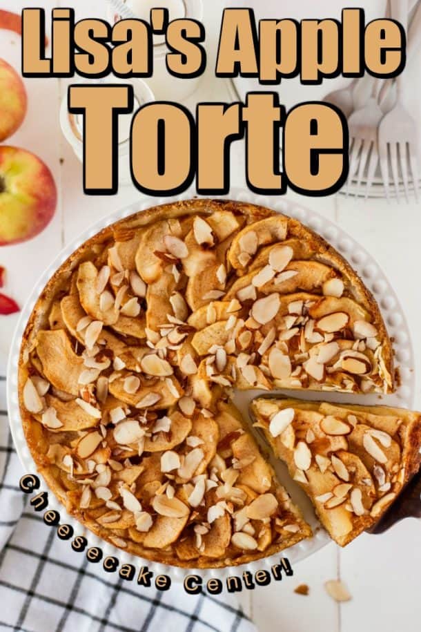 Lisa's Apple Torte - Bavarian Apple Torte - Noshing With The Nolands