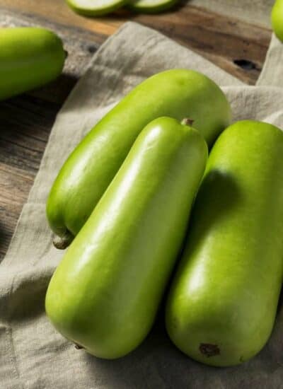 Opo Squash, What is it? hero.