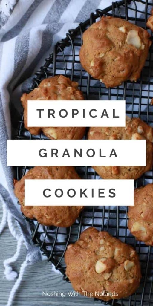 Tropical Coconut Chewy Granola Cookies Pin