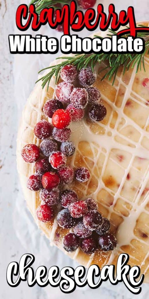 Cranberry White Chocolate Cheesecake Pin