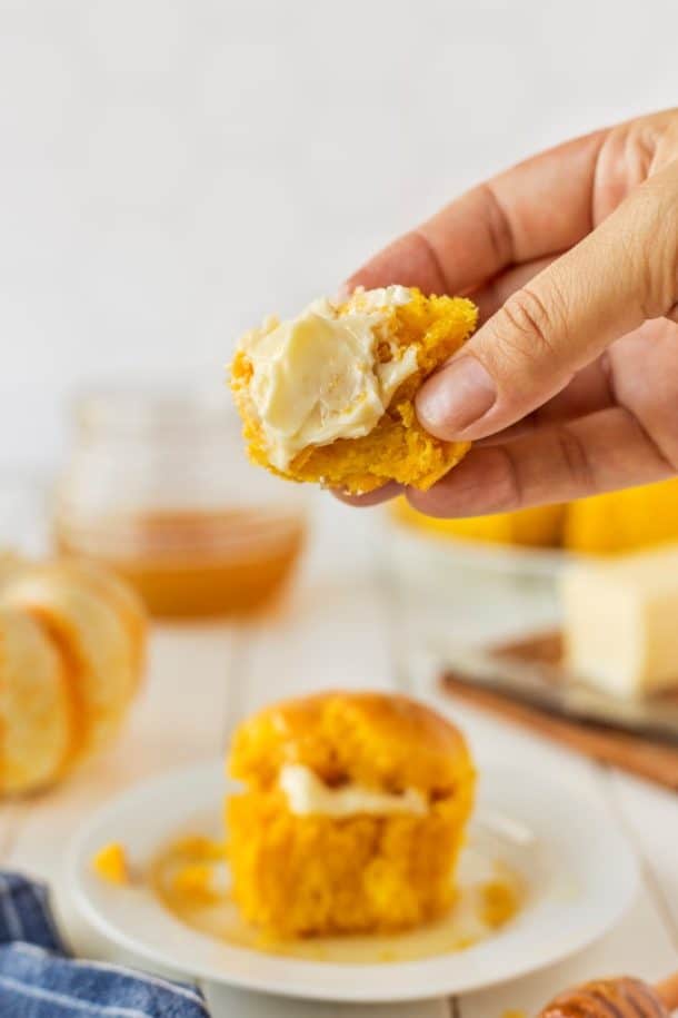 Perfectly Fluffy Pumpkin Dinner Rolls - NWTN