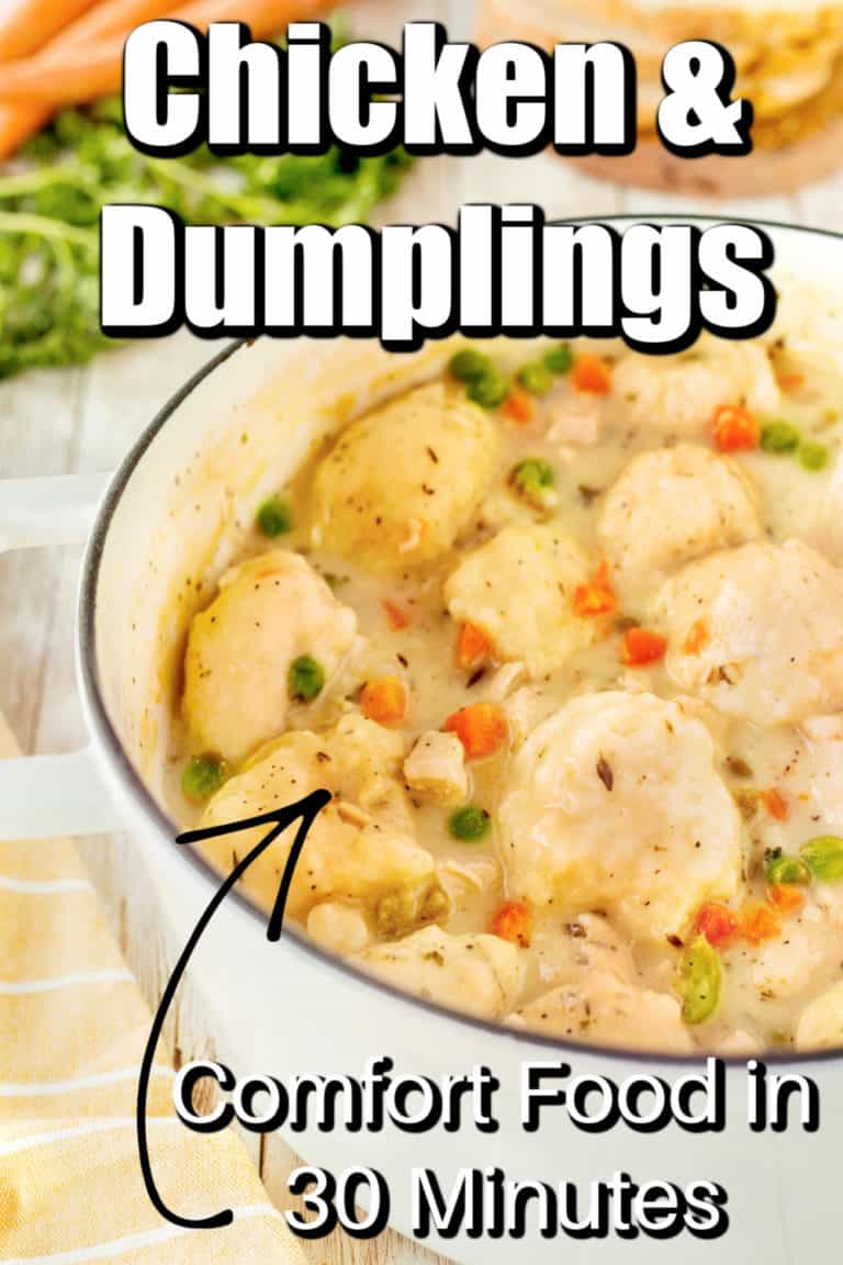 30 Minute Chicken and Dumplings Recipe - NWTN