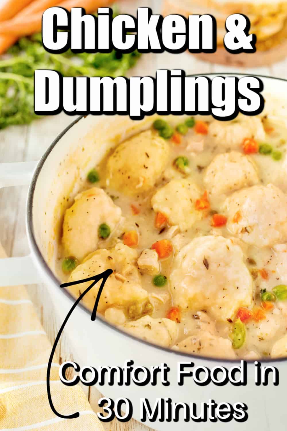 30 Minute Chicken and Dumplings Recipe Pin