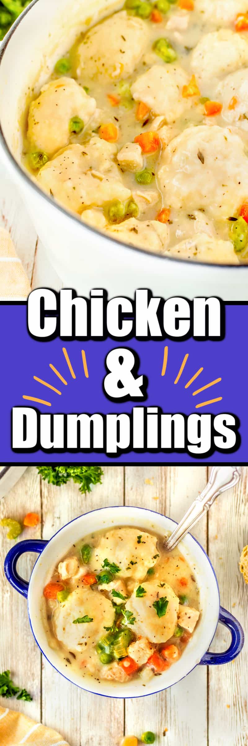 30 Minute Chicken and Dumplings Recipe - NWTN