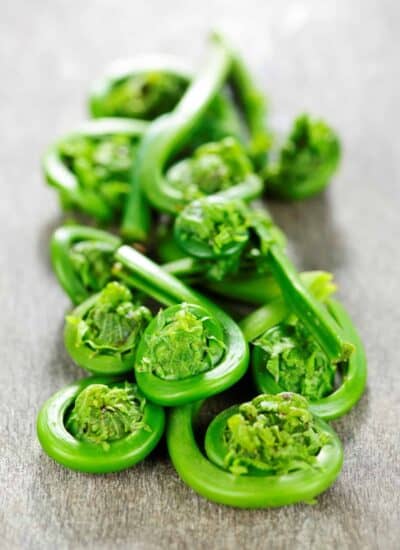 What are Fiddleheads and When Are They In Season? hero.
