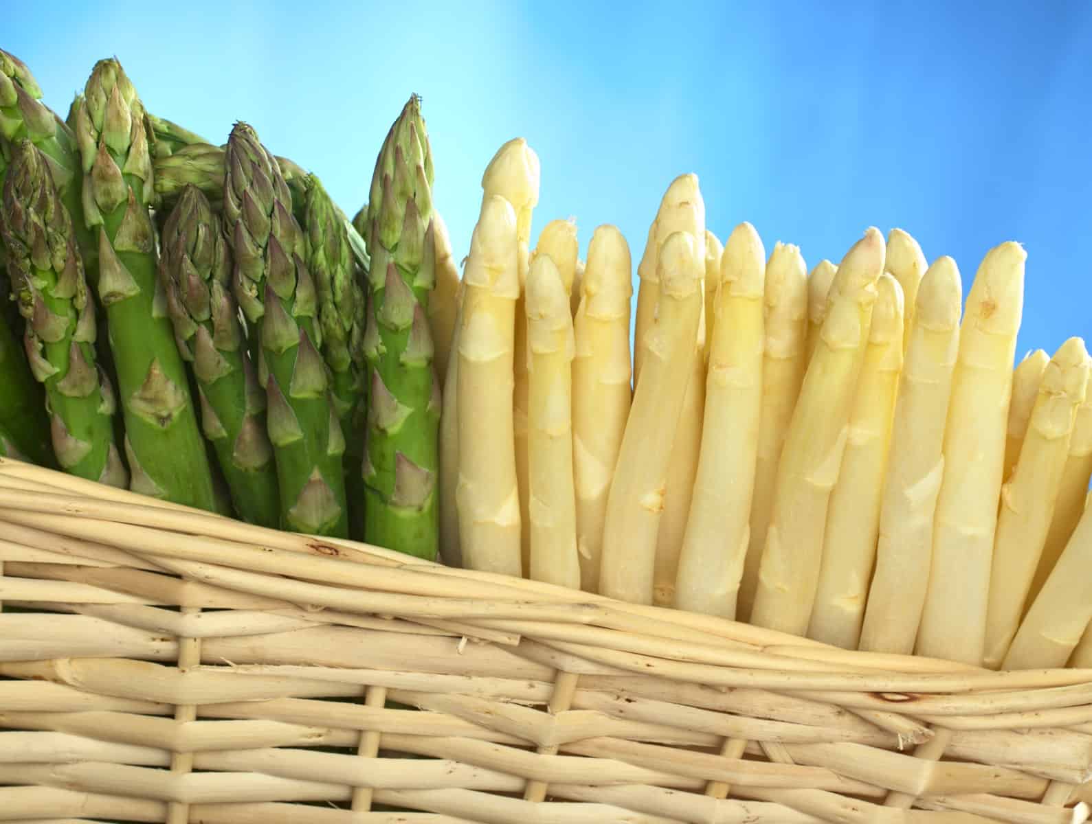 Asparagus in basket, green and white. 