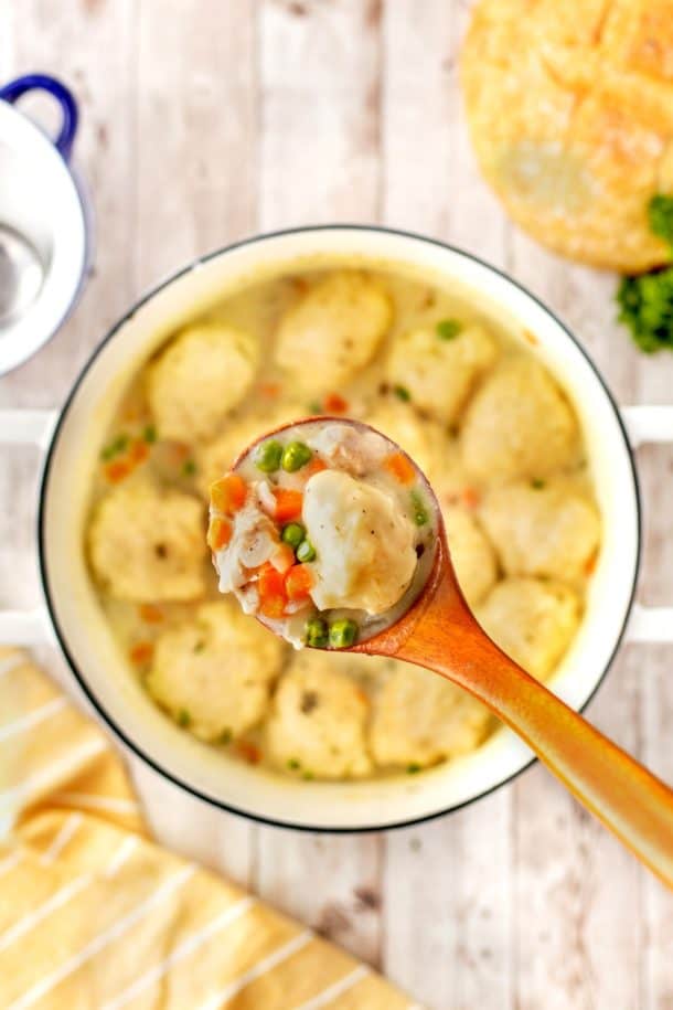 30 Minute Chicken And Dumplings Recipe - NWTN