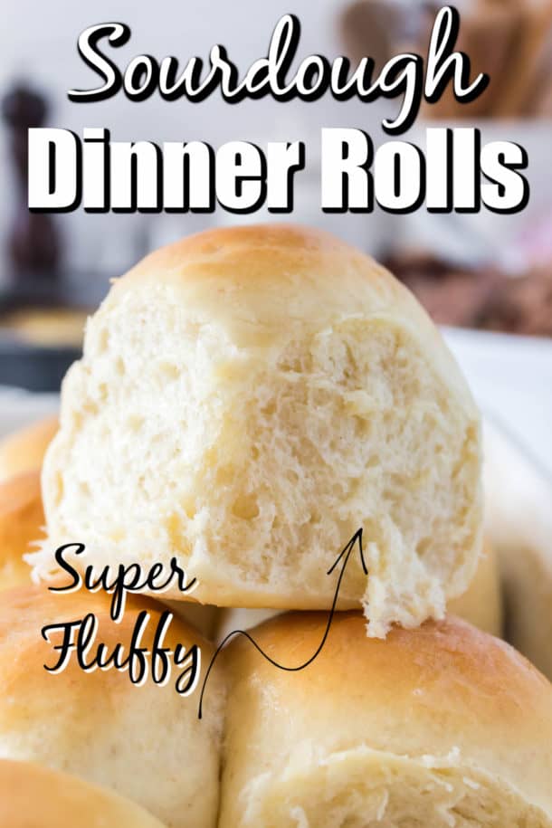 Sourdough Dinner Rolls Recipe - Noshing With the Nolands