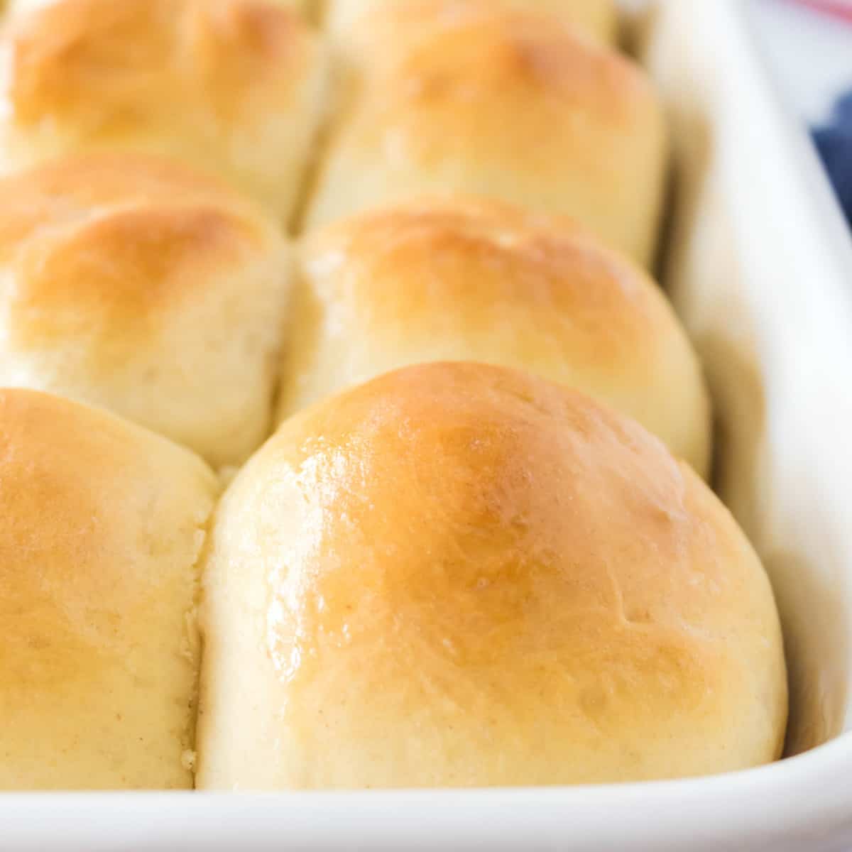 Square photo of dinner rolls in a baking pan. 