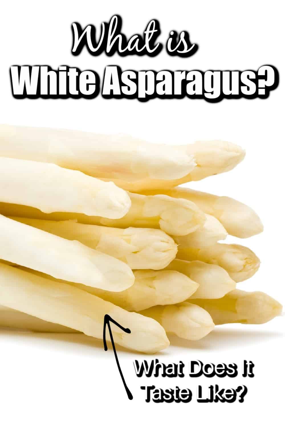 What is White Asparagus? Pin