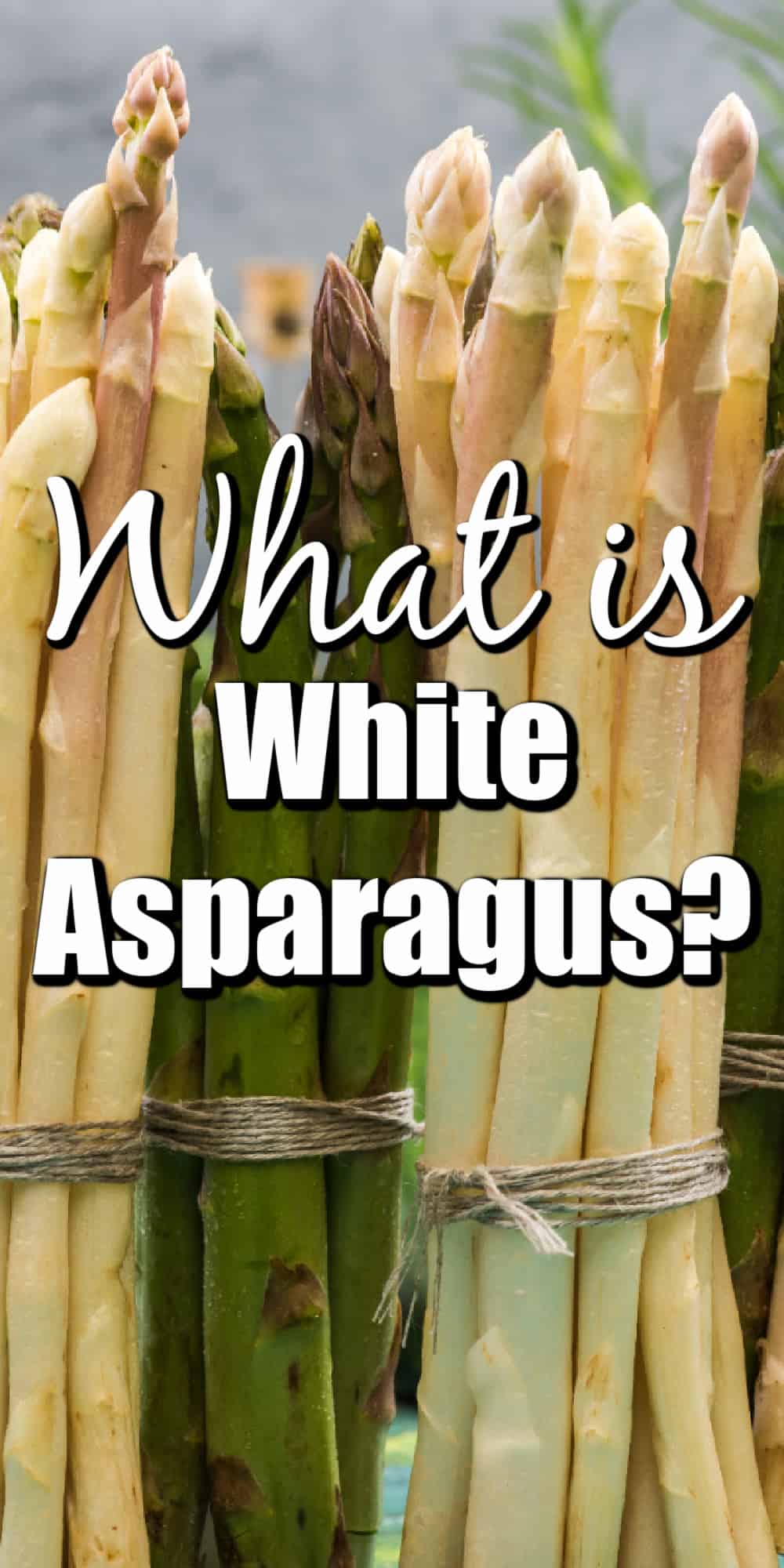 What is White Asparagus? Pin