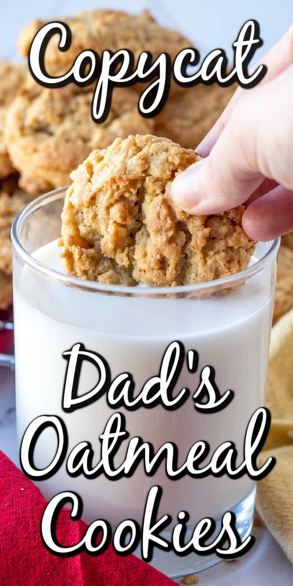 Better Than Dad's Copycat Oatmeal Cookies Pin