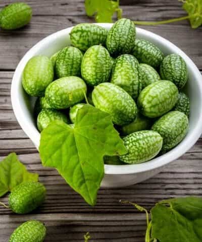 Bowl of cucamelons in plate on rustic table vertical