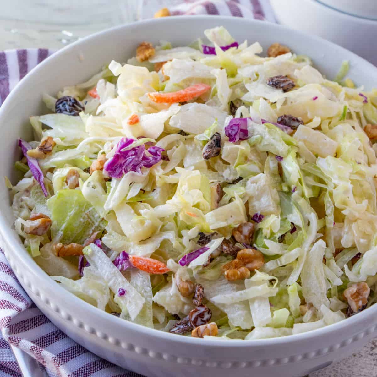 Square shot of coleslaw in a bowl.