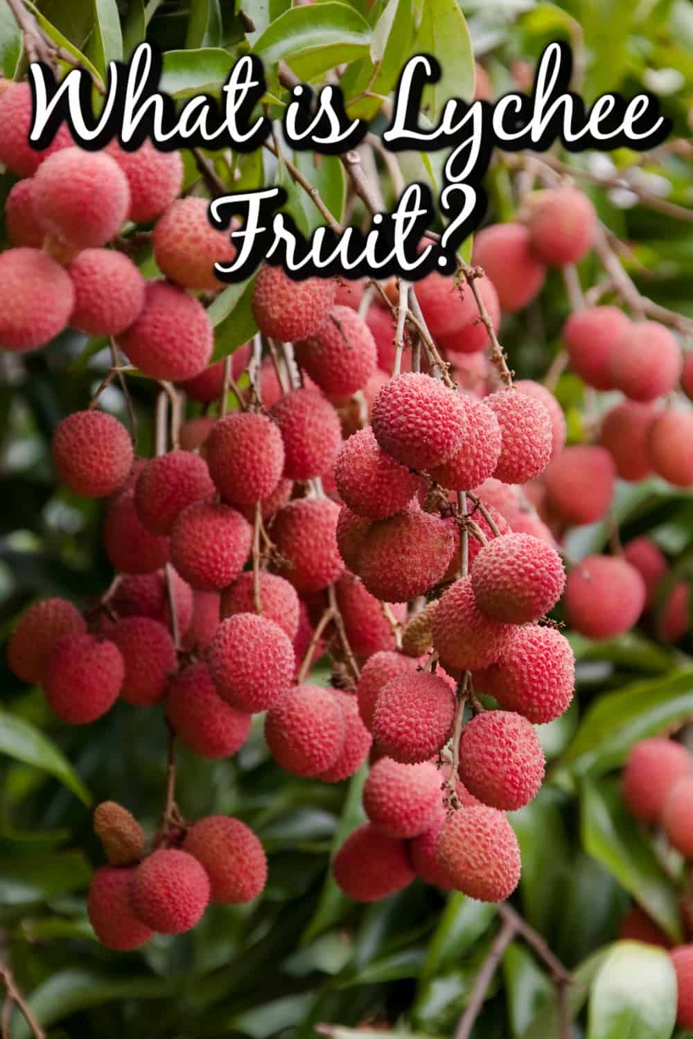 What is Lychee Fruit? How Do I Eat It? Pin