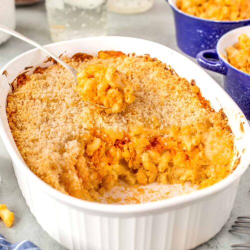 Buffalo Chicken Mac And Cheese - Noshing With The Nolands