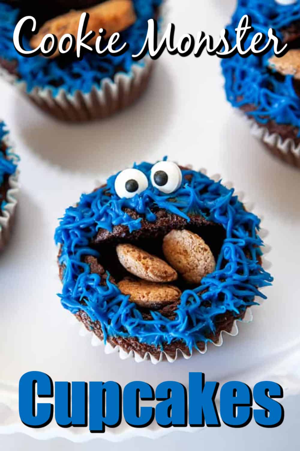 Fun Cookie Monster Cupcakes Pin