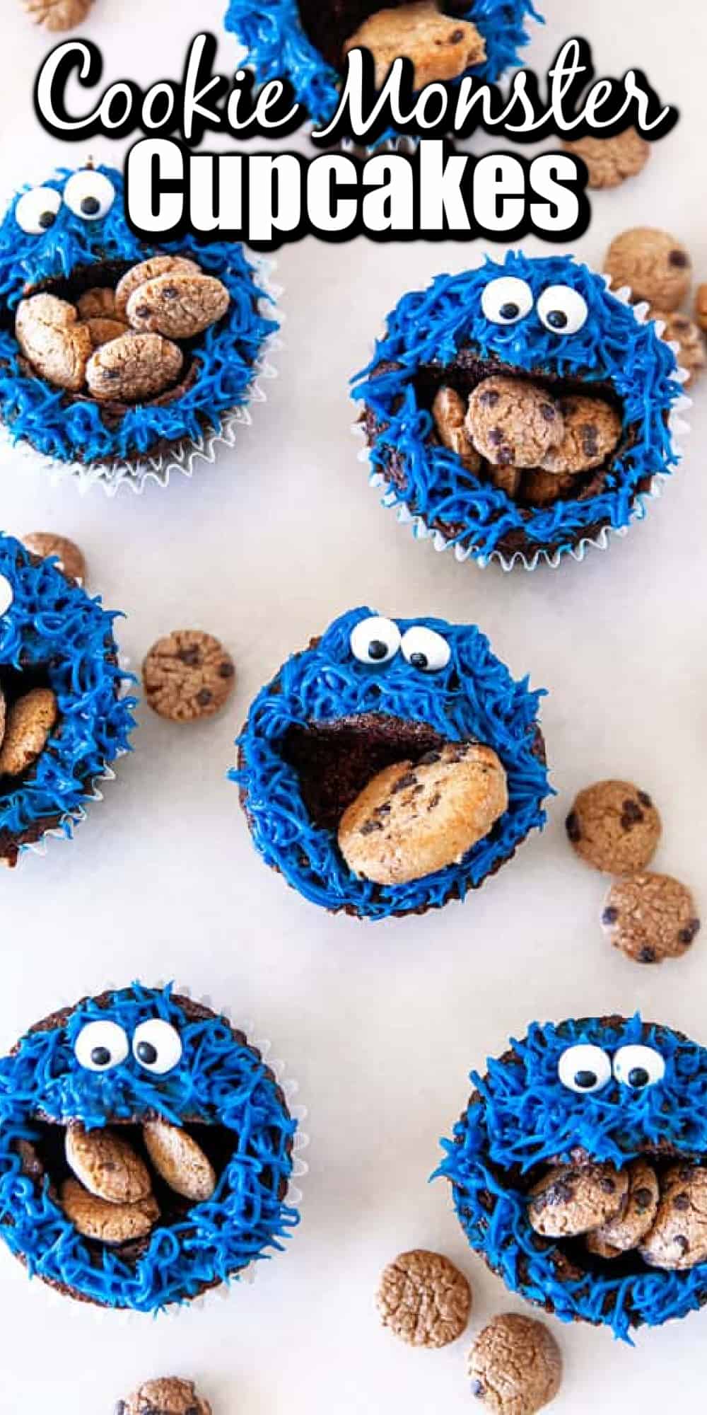 Fun Cookie Monster Cupcakes Pin