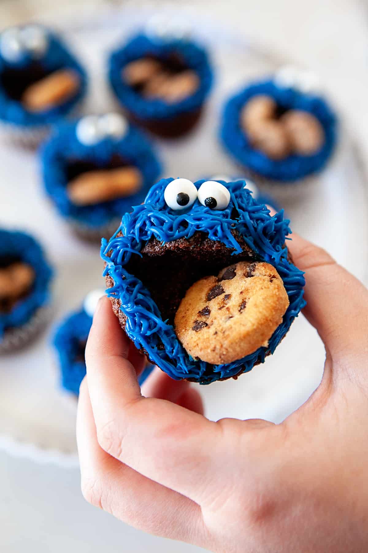 Holding a Fun Cookie Monster Cupcake