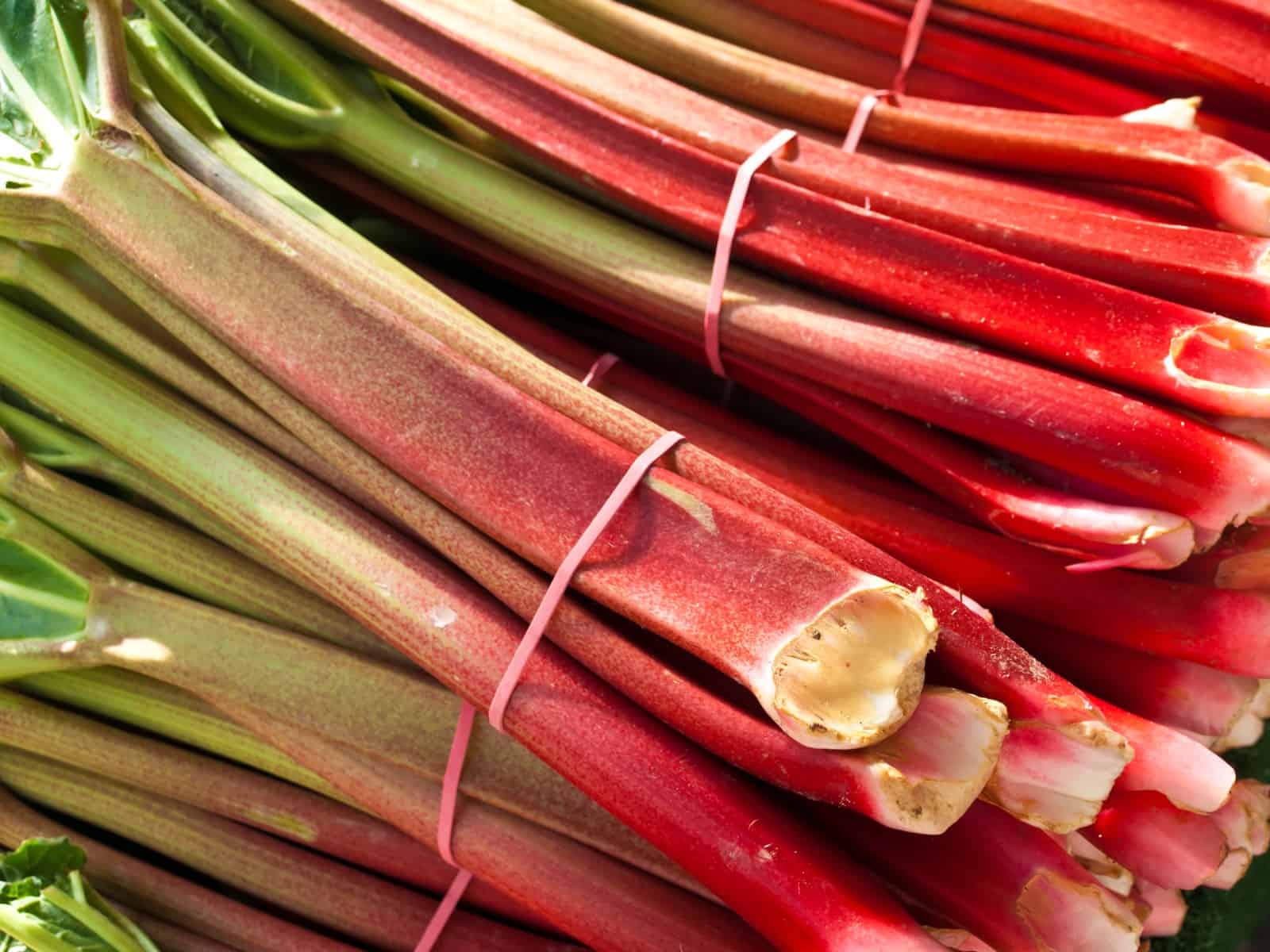 rhubarb at a street sale