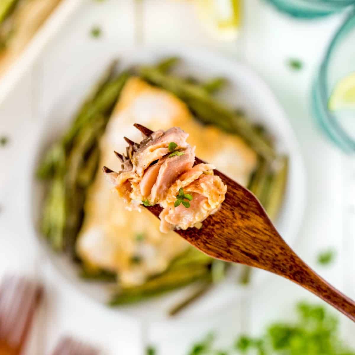 Overhead of salmon on a fork
