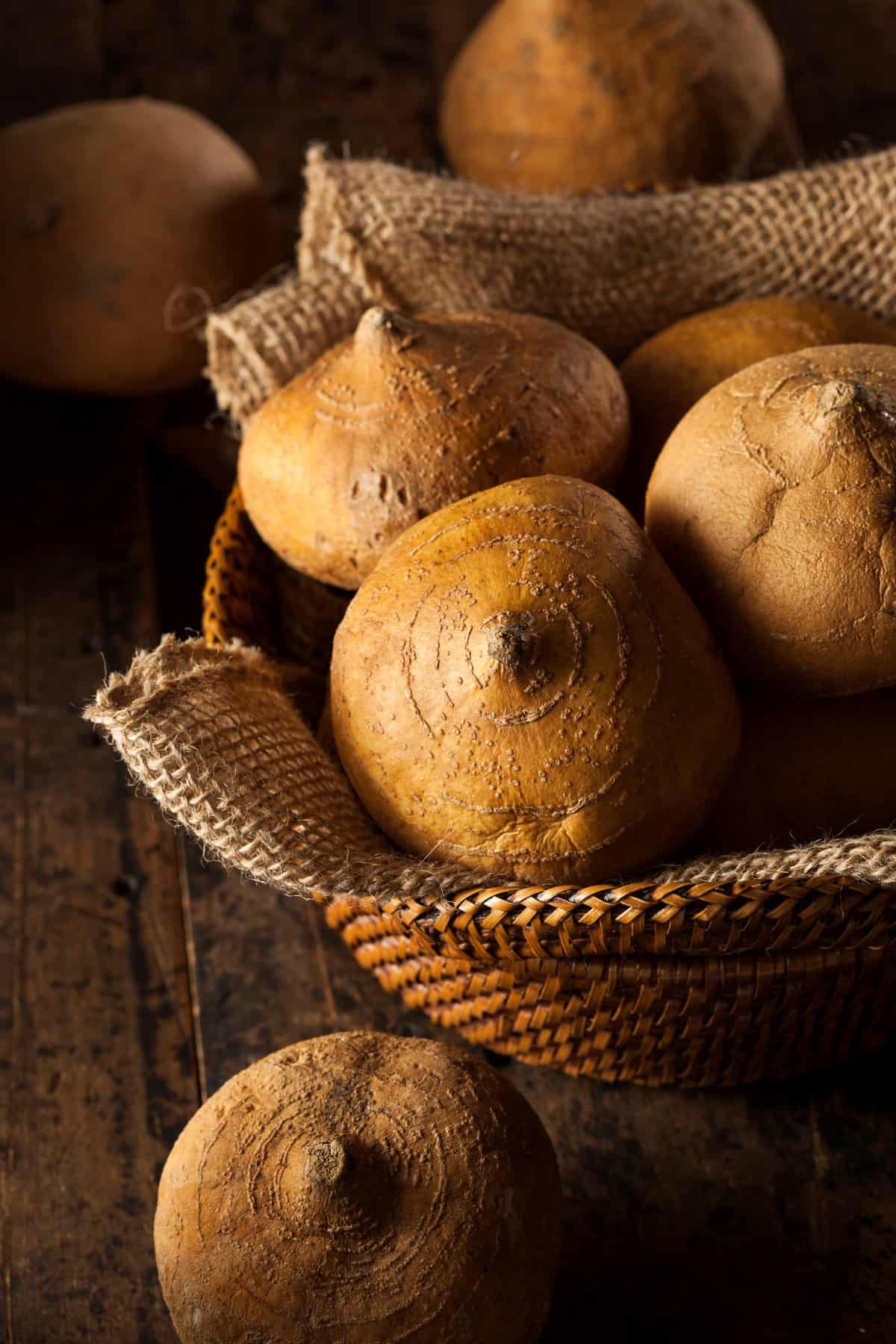 Raw Organic Brown Jicama in a Basket