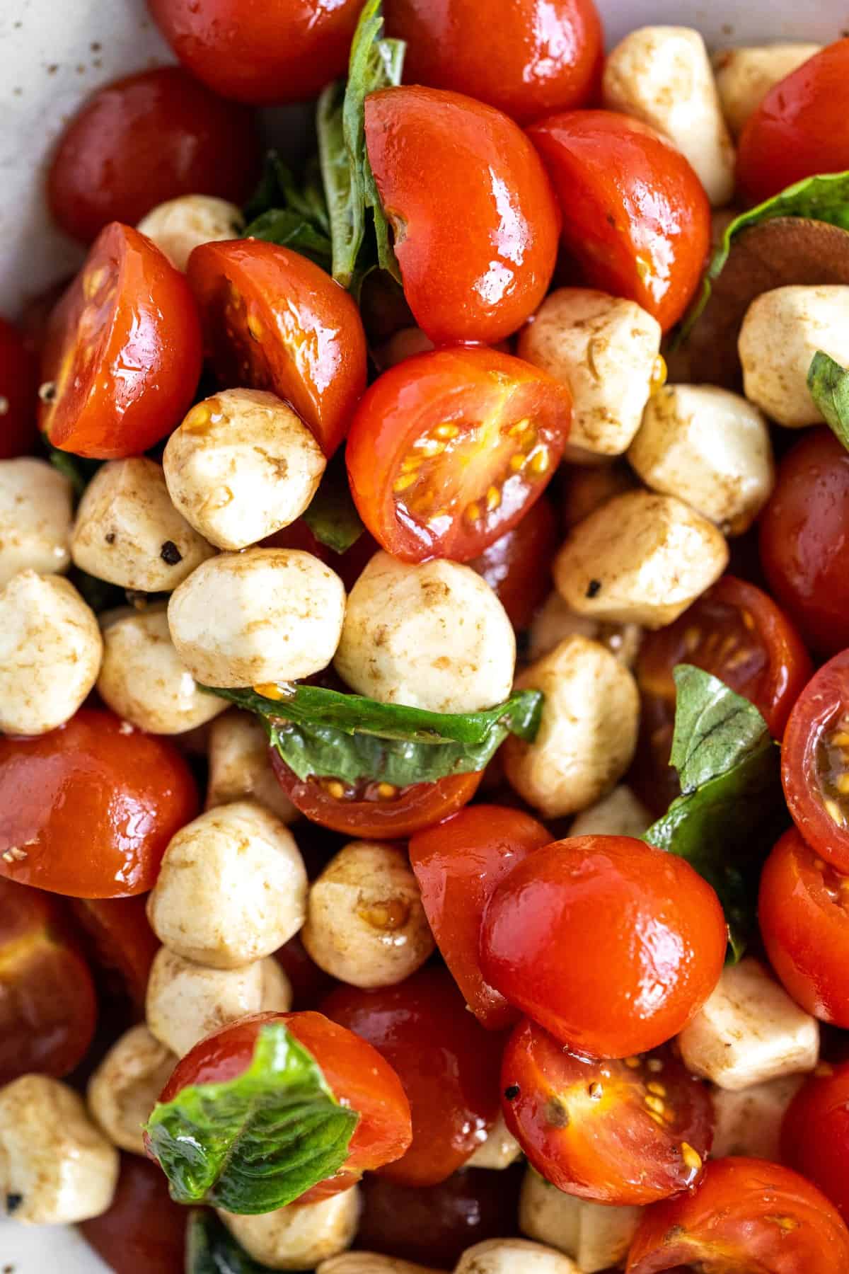 Overhead closeup of caprese salad