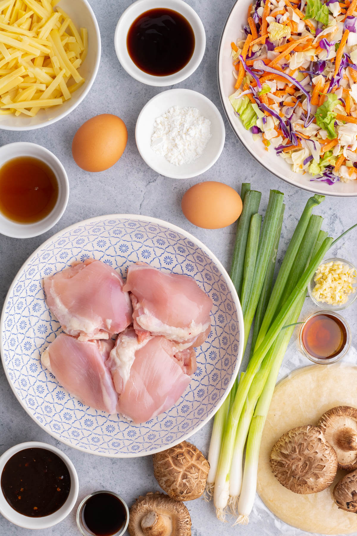 Ingredients used in making Moo Shu Chicken.