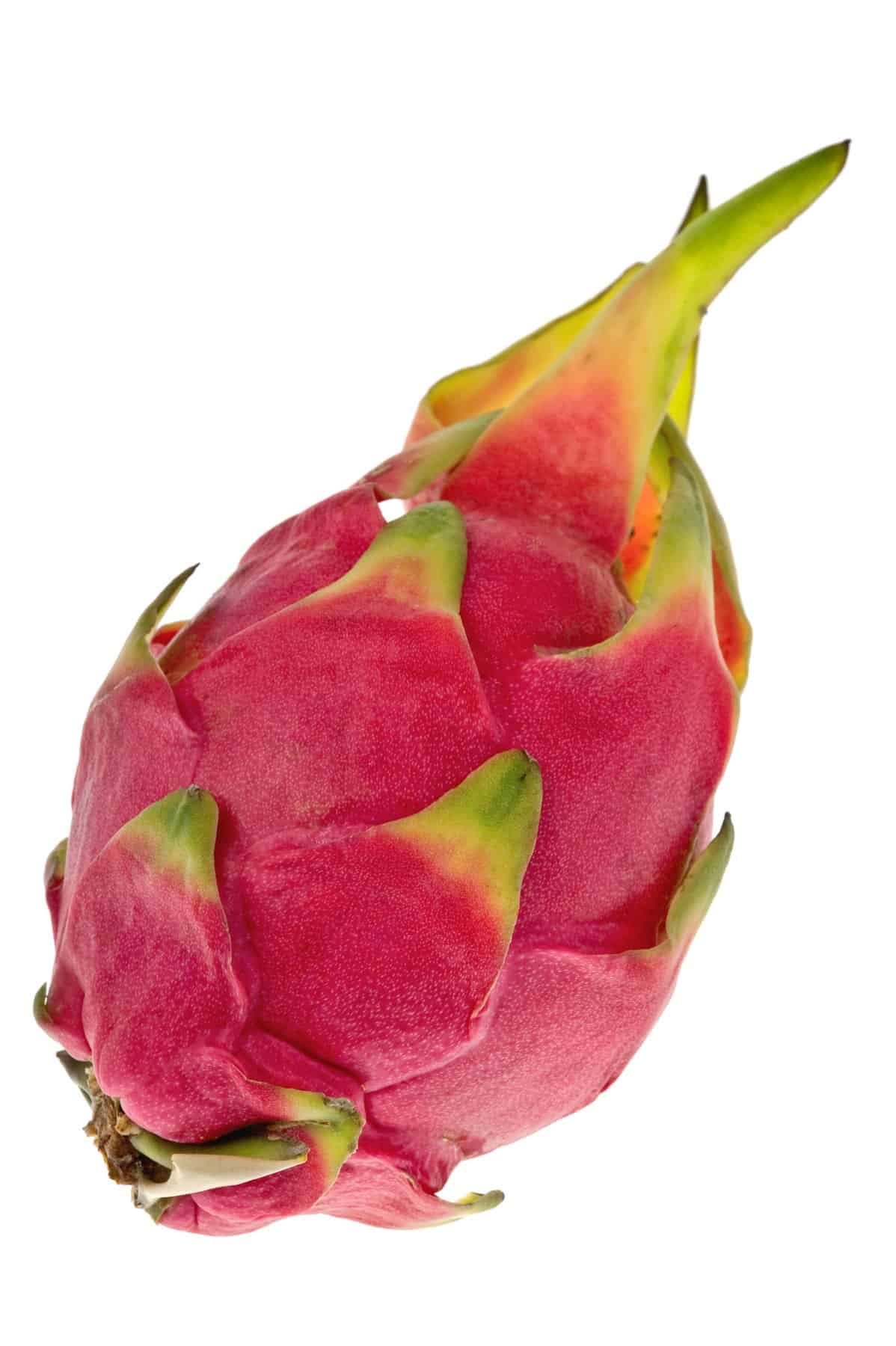 A whole dragon fruit on a white background