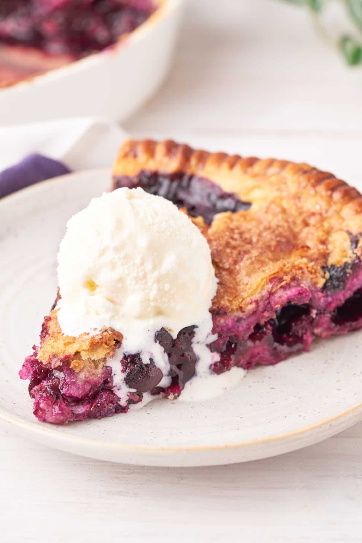 Blueberry Pie and ice cream on a white plate