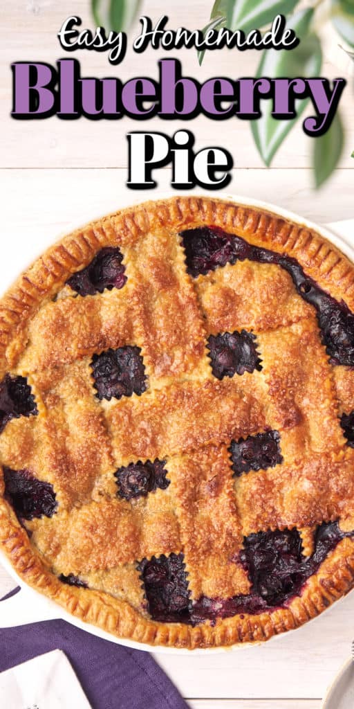 Easy Homemade Blueberry Pie - Noshing With the Nolands