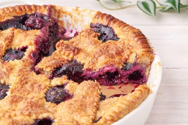 Easy Homemade Blueberry Pie Noshing With The Nolands 4727