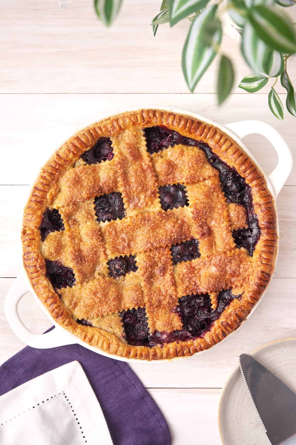 Overhead shot of a blueberry pie.