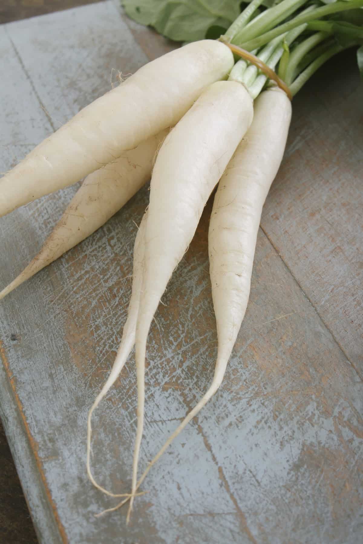 Bunch of white daikon radish