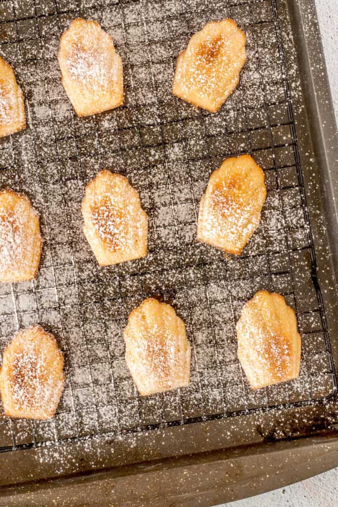 Icing sugar on madeleine on a cooling rack