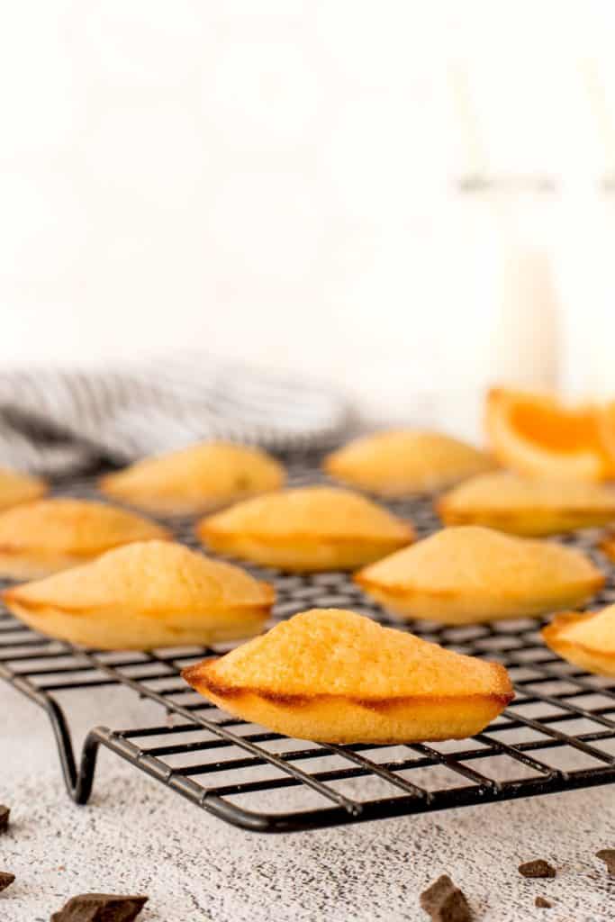 Madeleines on a cooling rack
