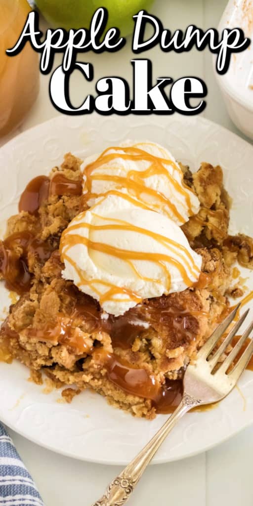 Easy Apple Dump Cake Noshing With the Nolands