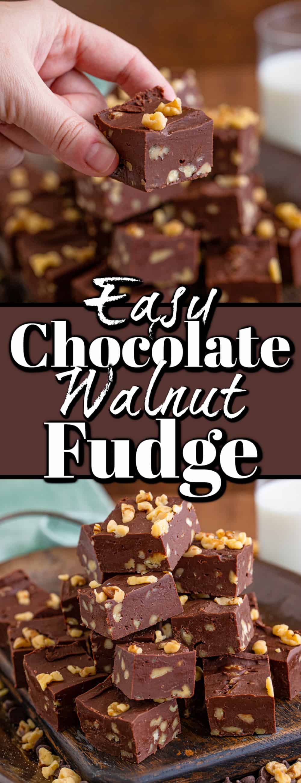 Easy Chocolate Walnut Fudge - Noshing With the Nolands