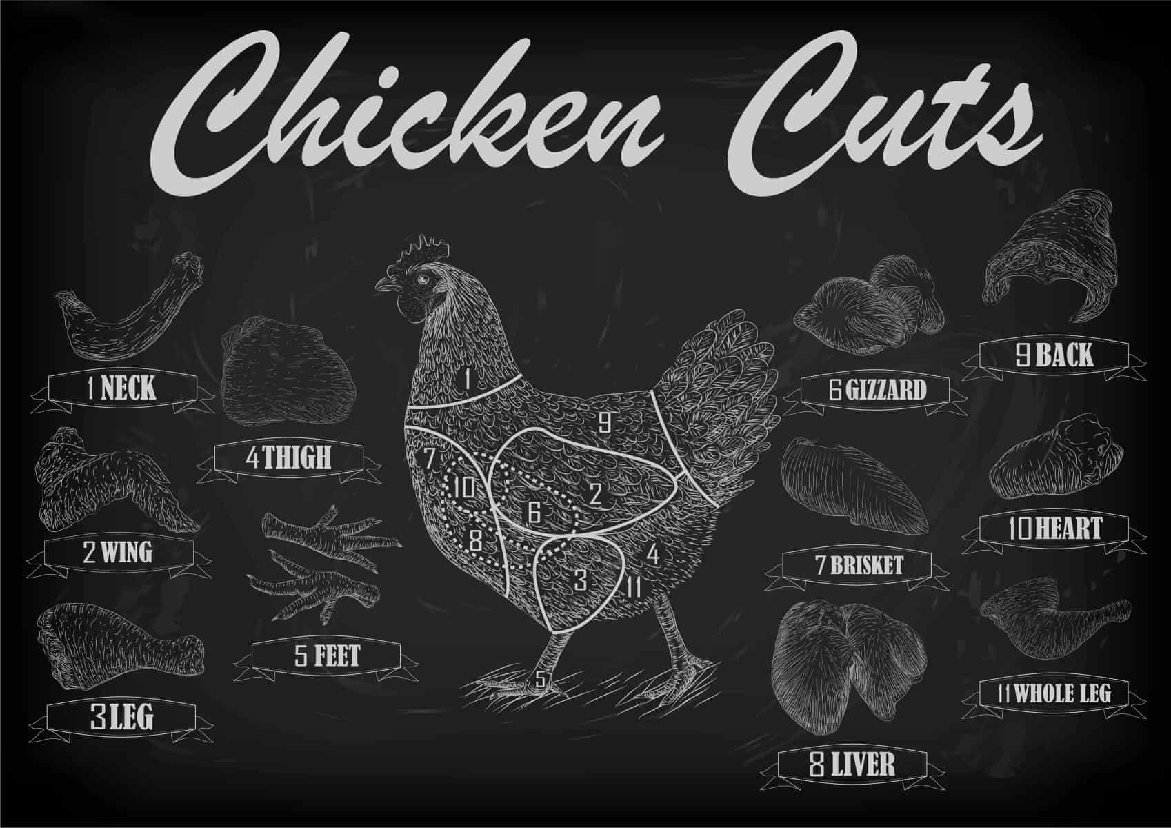 Chicken hen cutting meat scheme parts carcass brisket neck wing fillet back heart leg liver. Vector horizontal closeup side view illustration sign info graphics white outline black chalkboard background