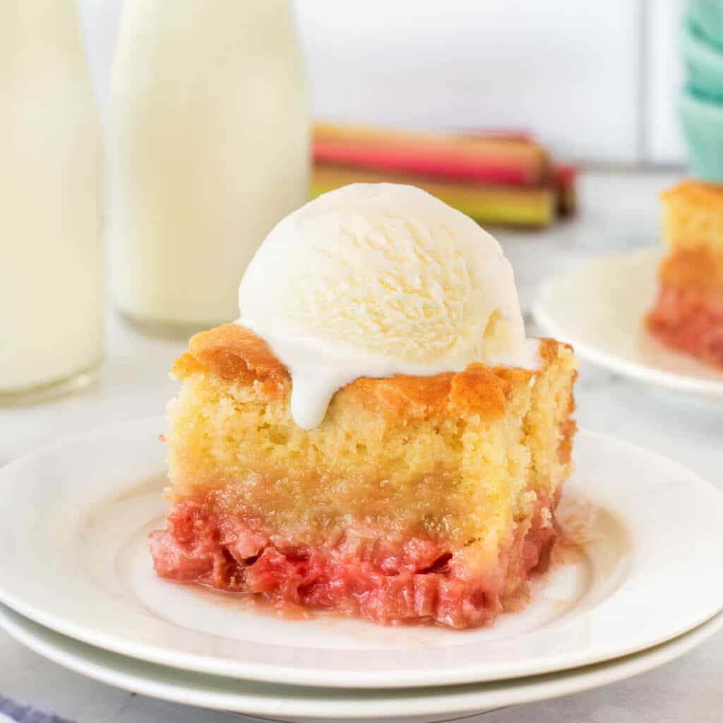 Rhubarb Pudding Cake - Noshing With The Nolands