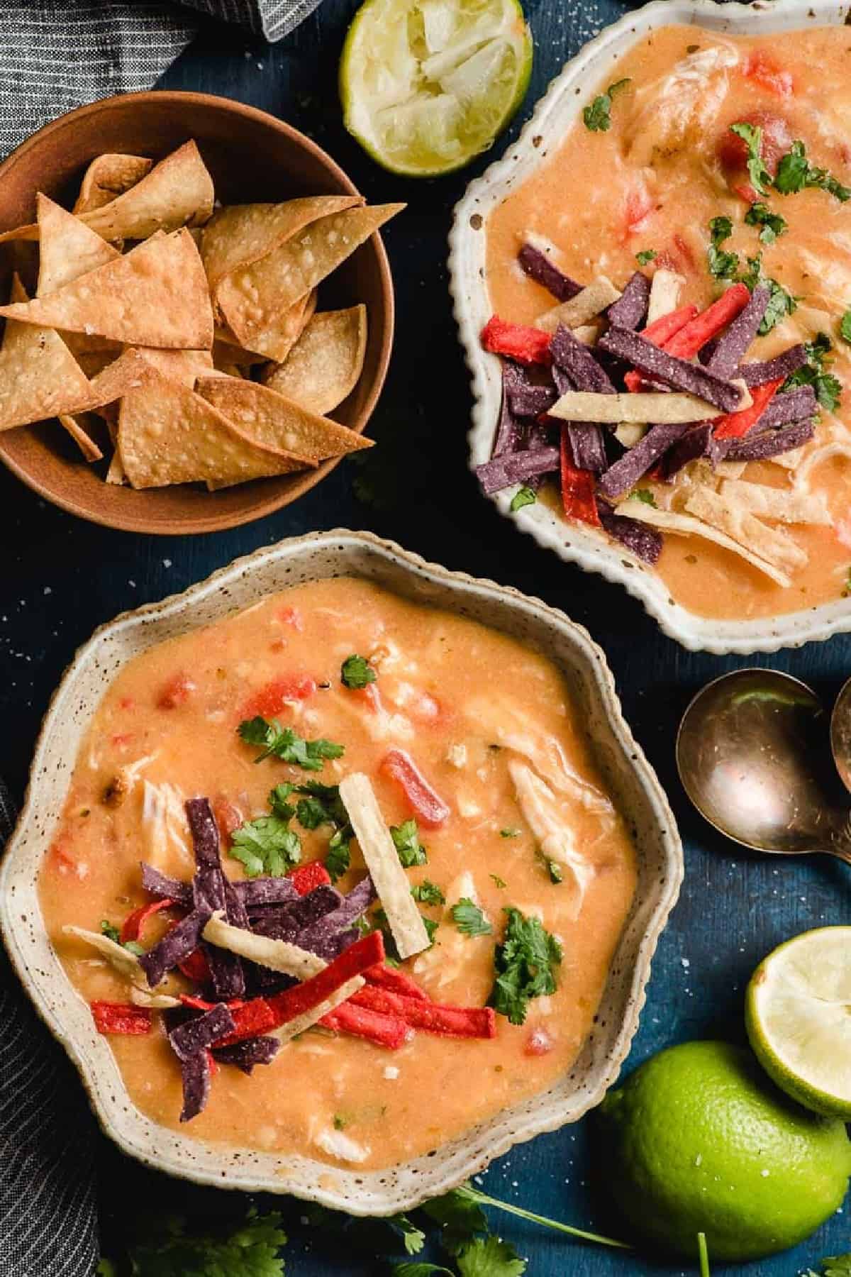 Max & Erma's Copycat Chicken Tortilla Soup shown overhead with multi colored tortilla chip strips and a bowl of tortilla chips. 