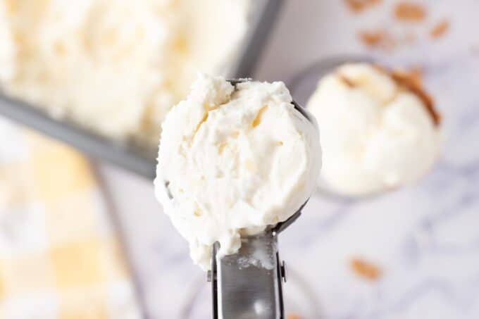 Pineapple Coconut Ice Cream - Noshing With Nolands