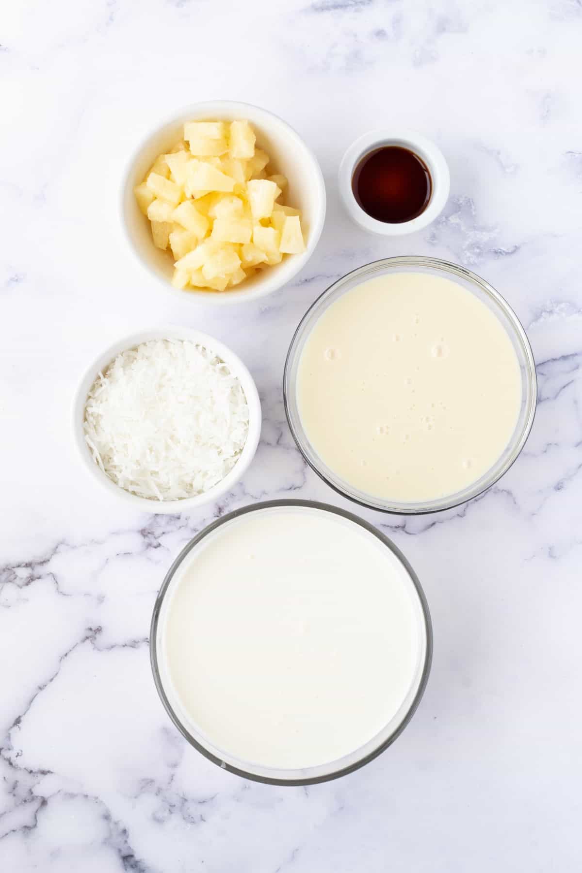 Ingredients for Pineapple Coconut Ice Cream
