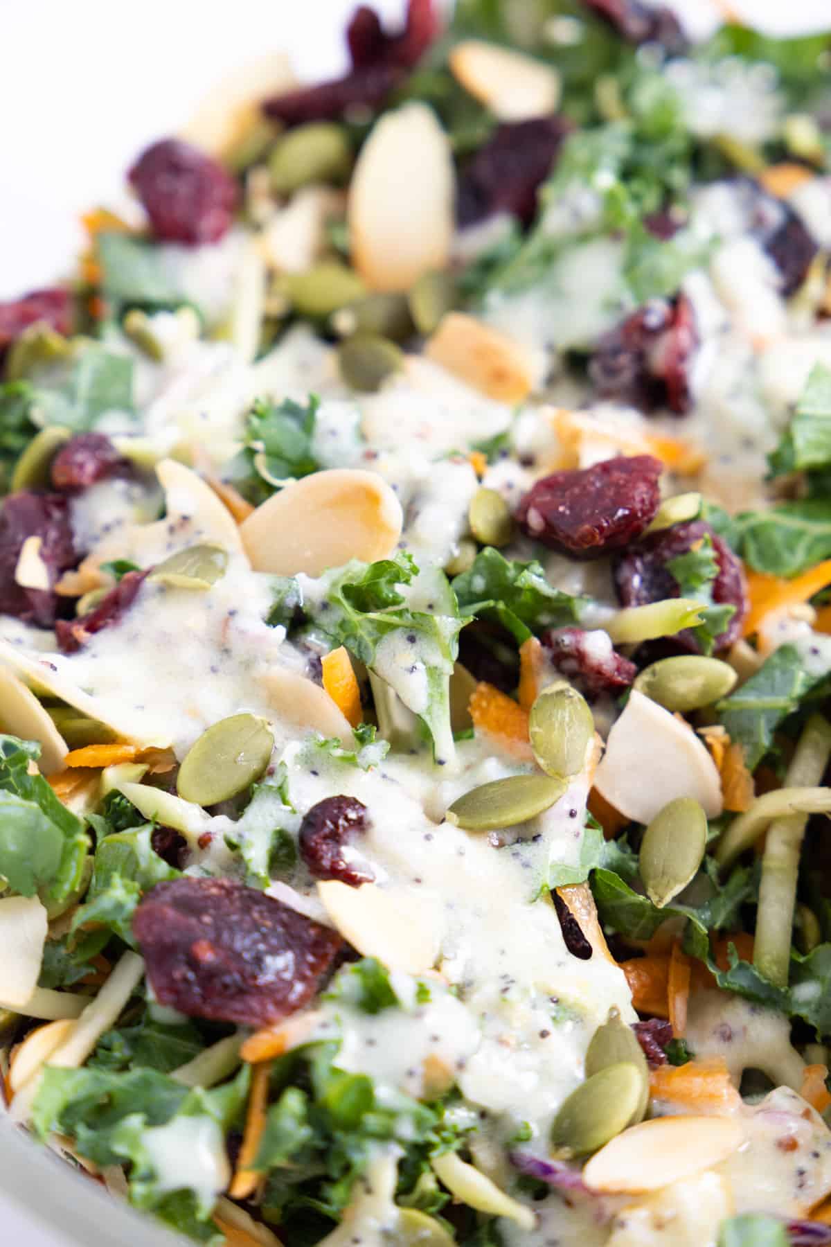 Close up of a kale salad with cranberries, shredded carrots and pumpkin seeds with a creamy dressing on top. 
